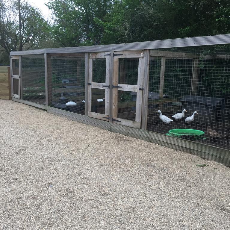 Willow Court Farm The Lodge & Petting Farm, 8 Mins From Legoland & Windsor, 15 Mins From Lapland Uk Bagian luar foto