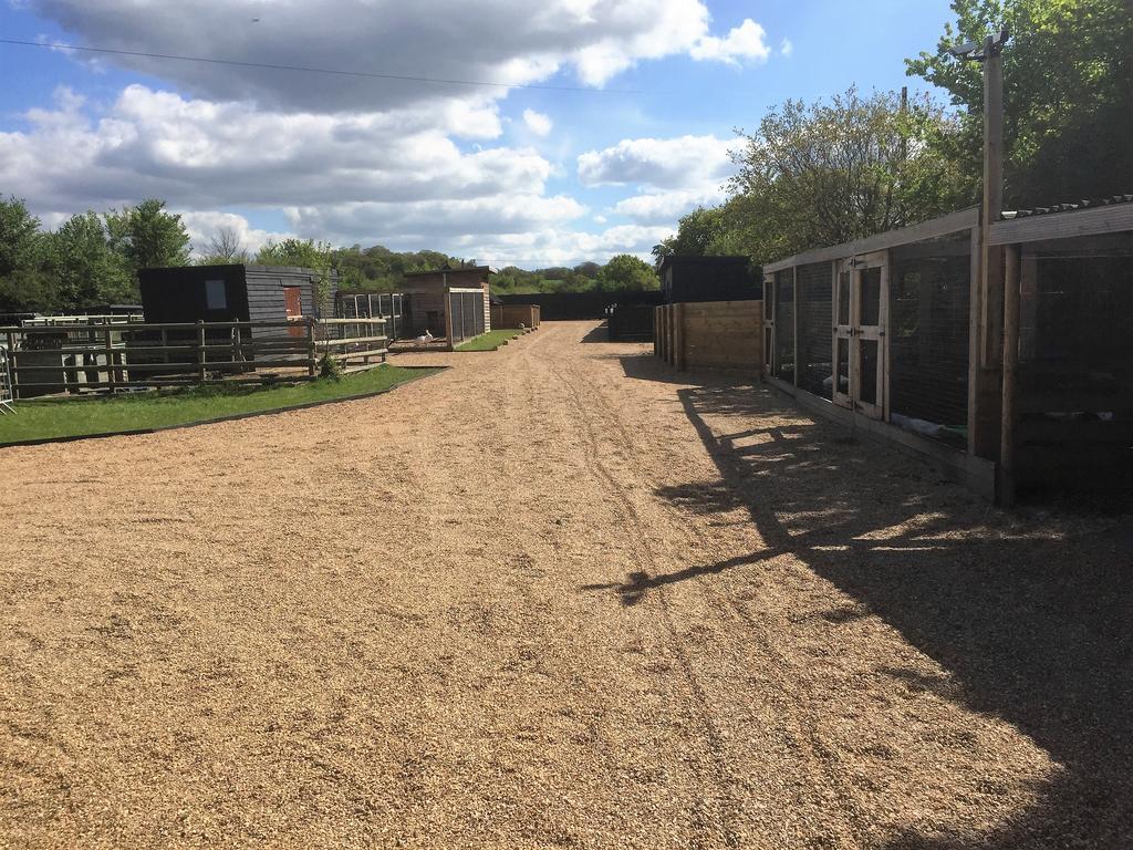 Willow Court Farm The Lodge & Petting Farm, 8 Mins From Legoland & Windsor, 15 Mins From Lapland Uk Bagian luar foto