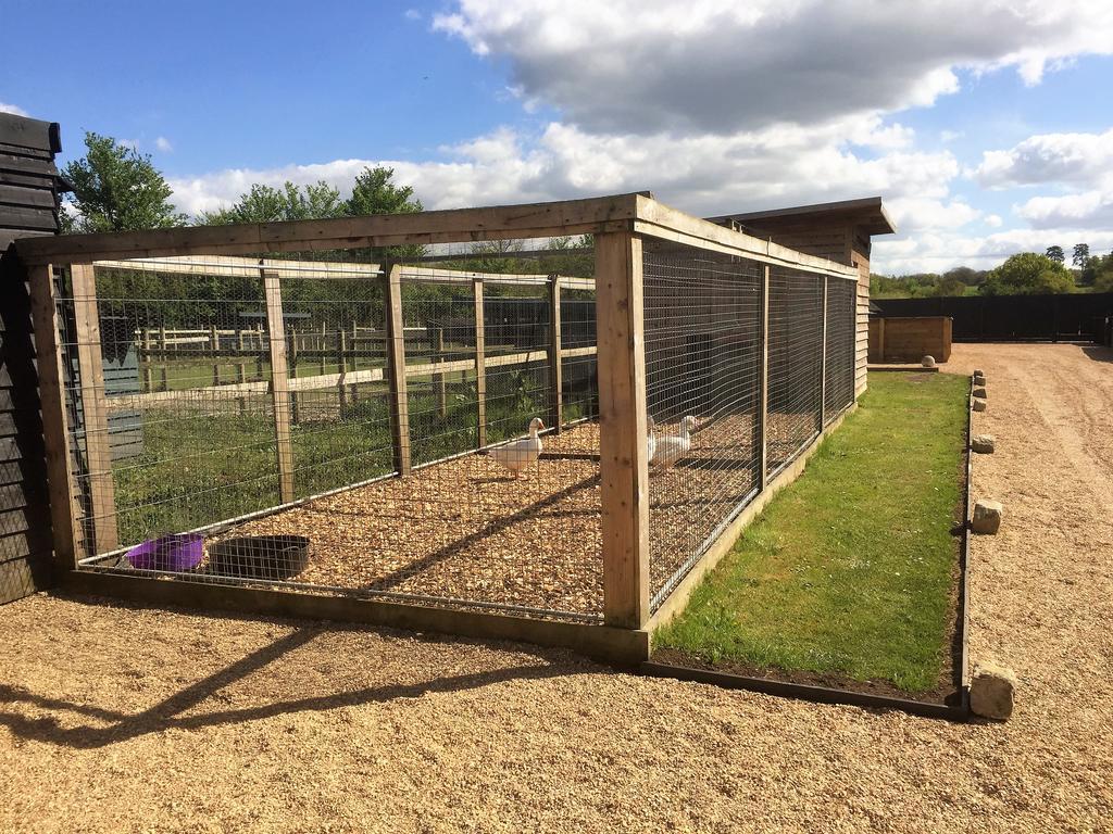 Willow Court Farm The Lodge & Petting Farm, 8 Mins From Legoland & Windsor, 15 Mins From Lapland Uk Bagian luar foto