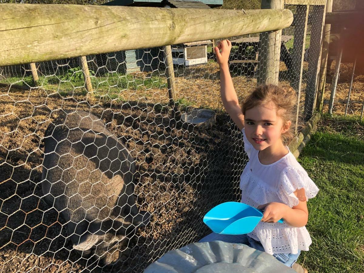 Willow Court Farm The Lodge & Petting Farm, 8 Mins From Legoland & Windsor, 15 Mins From Lapland Uk Bagian luar foto