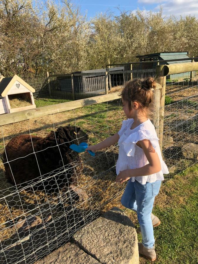 Willow Court Farm The Lodge & Petting Farm, 8 Mins From Legoland & Windsor, 15 Mins From Lapland Uk Bagian luar foto